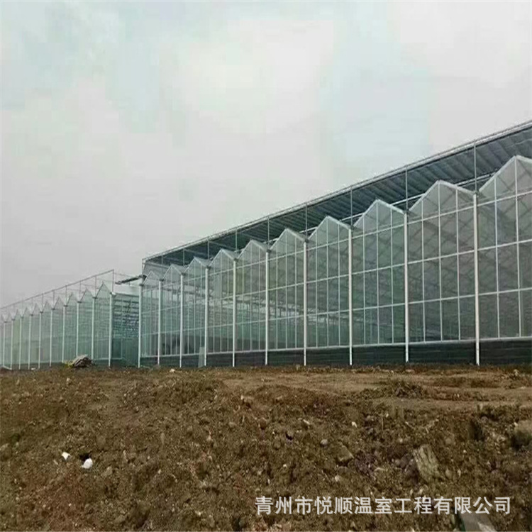大棚温室日光文洛报价安装玻璃骨架配件牡丹花卉蔬菜养殖