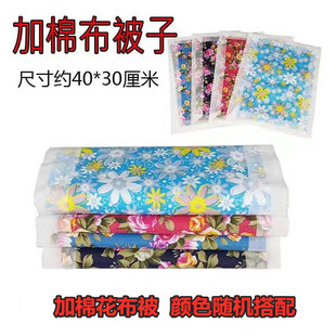 ����10��1�ω����ϱ��ӱ����ޱ�����ڤ���X�Œ�Ĺ�ω����滨����
