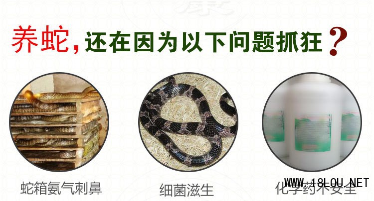 农富康生物除臭液简单喷洒解决蛇箱臭味难题