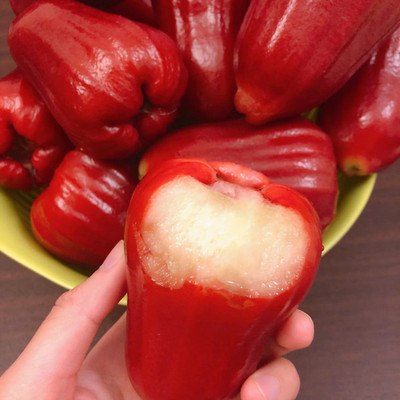 顺丰 海南黑金刚莲雾 热带新鲜孕妇水果 清甜多汁 微商一件代发|ms