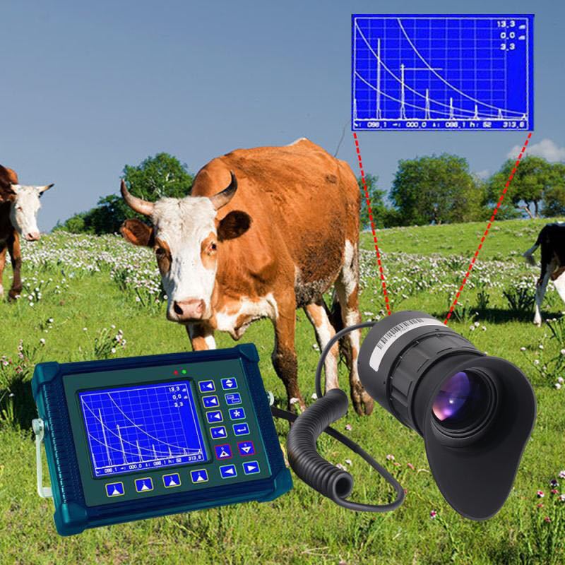 微信图片_20190510114745