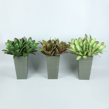 绿色系列 仿真多肉植物花头创意DIY用品绿植植物墙用品仿真花