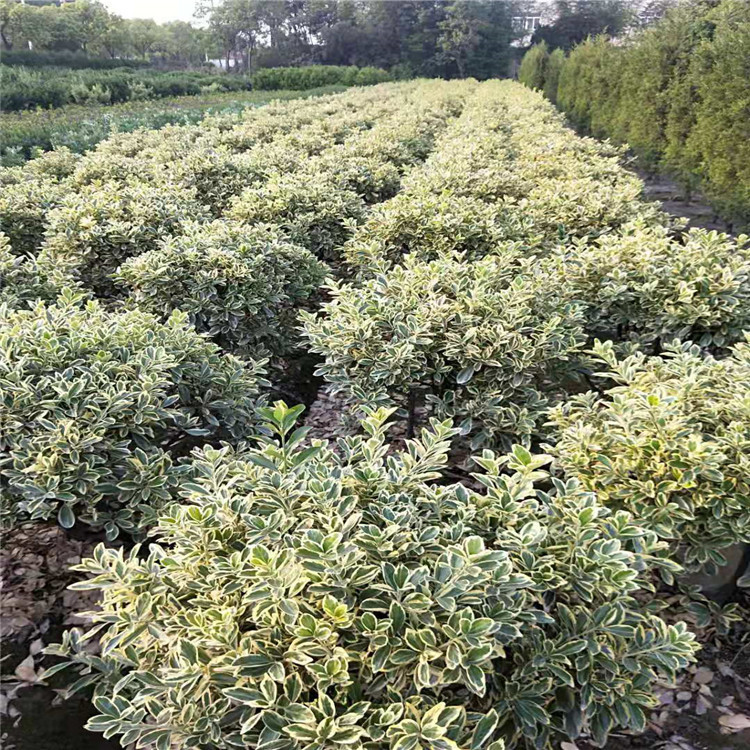 微信图片_20190924001006