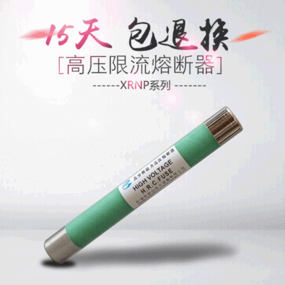 Chong Shan electric power XRNP-12/0.5-5A SFLAJ high pressure Limiting Fuse 10kv Indoor Breaking capacity