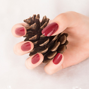 ��ָ�׳�Ʒ�����NƬ���� �¿�24�N�����z�� �F؛������Ӷ���