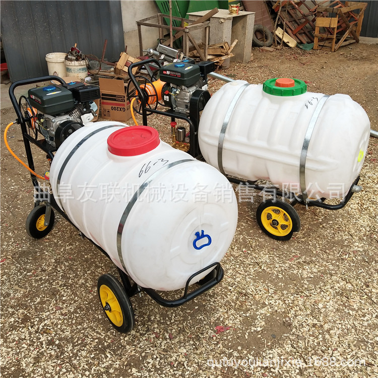 高压汽油喷药机 养殖手推消毒机 园林绿化养殖消毒机 64