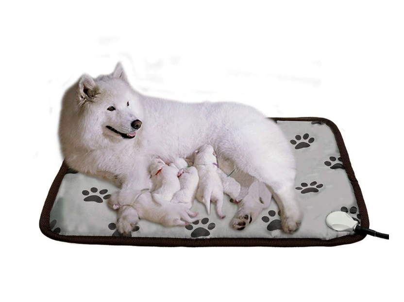 Спотовые электрические одеяла Amazon для домашних животных водонепроницаемый от укуса износостойкий регулируемый температурный регламент для собак прокладка через границу 110V