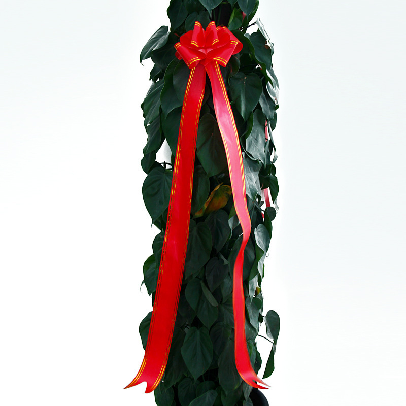 2409980717_2078261201