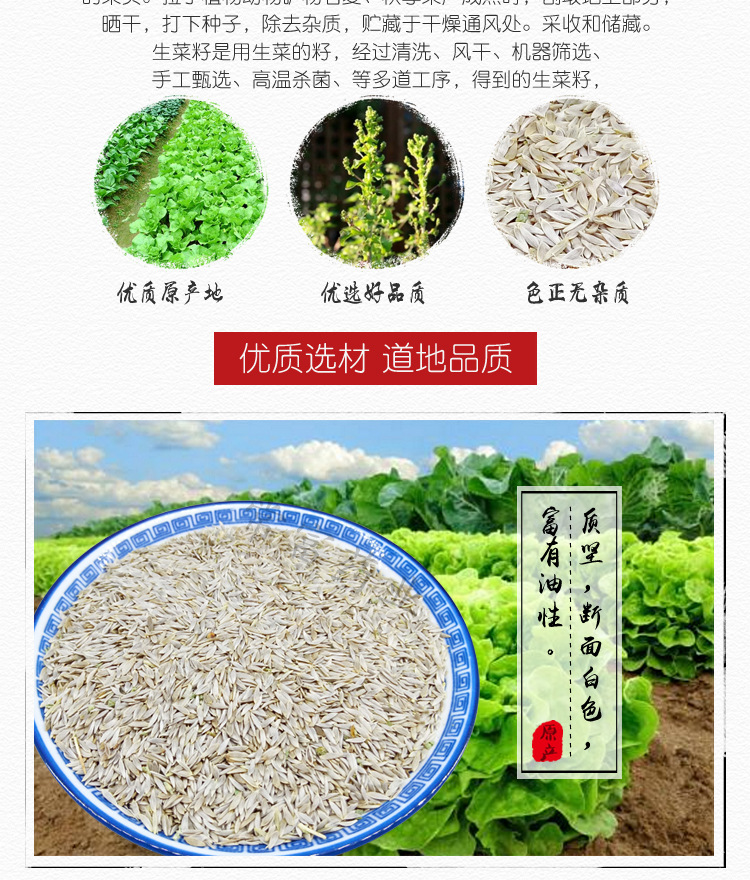 Lettuce Seed Bai Ju Sheng 500g Crushed Food Grade Herb from Anhui key features