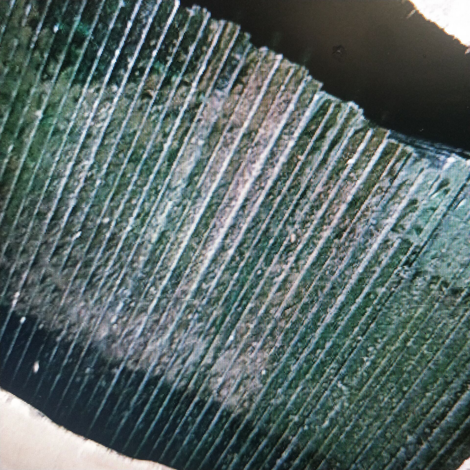 打砂帽玻璃片	114*150mm 3mm厚