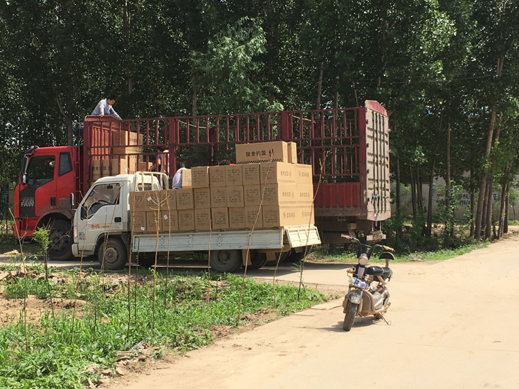 微信图片_20190711193634