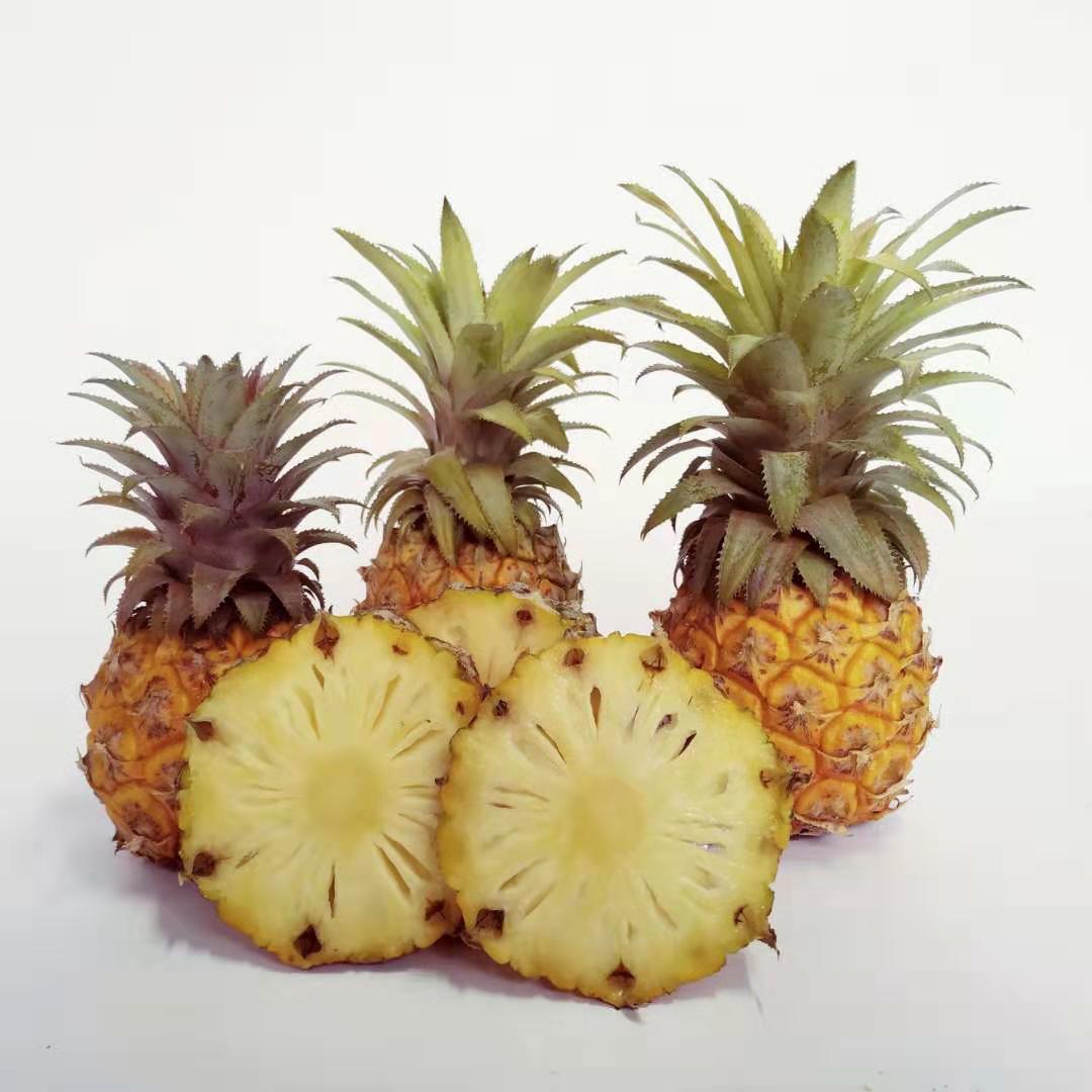 泰国品种香水菠萝5斤包邮 应季新鲜水果菠萝香甜多汁 非凤梨