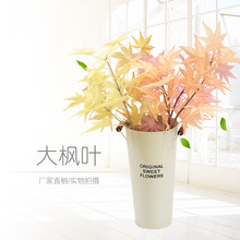 ֮¿~cbLU~ɫWL~¾Gֲٻ