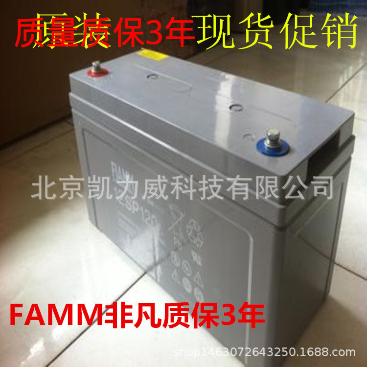 FIAMM非凡蓄电池12SP100阀控式12V100Ah蓄电池 现货 保三年