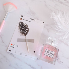 Feather Card Instagram Greeting Card Festival General Greeting Card Creative Birthday Greeting Card Wholesale Teacher's Birthday Valentine's Day