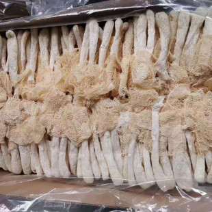���l�����Lȹ���p���l�����خa���p��؛���l500g�F؛����