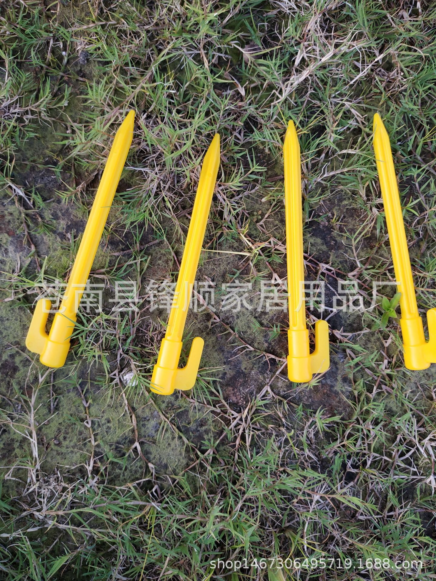 IMG_20190827_175046(1)