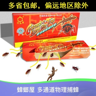 ���]�x������ݲ�׽����󯚢�����ș�Nճ��ȫ�C������T������