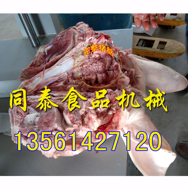 取猪脑机1