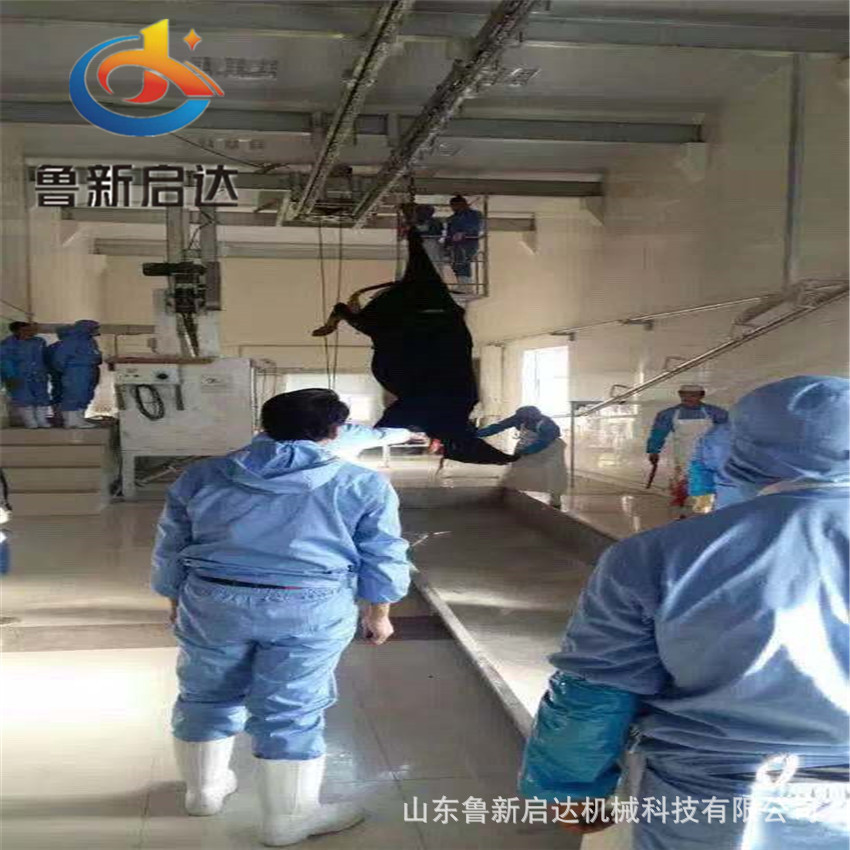 供应牛屠宰设备/步进机/屠宰线 厂家销售