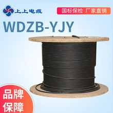 上上电缆 国标YJY 铜芯交联聚乙烯绝缘护套阻燃中低压电线 电缆
