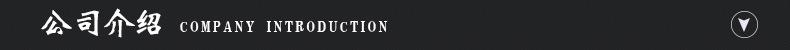 2.黑色公司介绍
