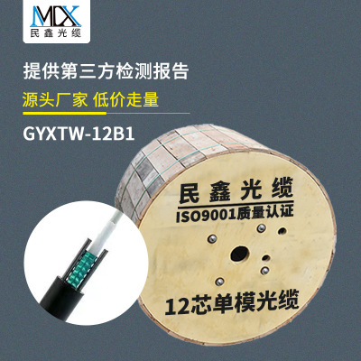 厂家直销单模12芯光缆GYXTW-12B1铠装室外中心束管12芯光纤光缆|ms