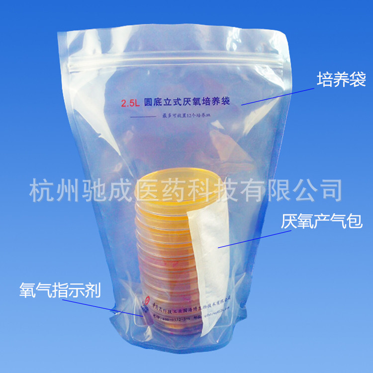 2.5L圆底立式厌氧培养袋 青岛海博 10个/包 HBYY007
