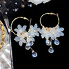 Earrings with tassels, crystal pendant, Korean style, flowered