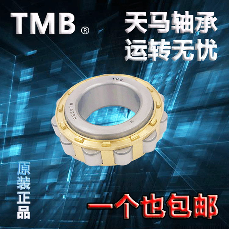 型号齐全 国产TMB 天马减速机轴承 RN205 RN206 高速运行