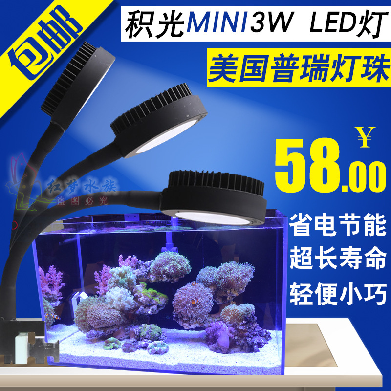 藻缸灯led海水灯全鱼缸水草光谱灯小型珊瑚补光灯微缸夹灯|ru