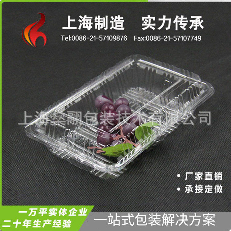 加厚大打包盒 寿司盒 批发一次性水果打包盒透明饭盒 糕点盒