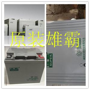 九州雄霸蓄电池12V24AH 铅酸免维护  质保一年 现货