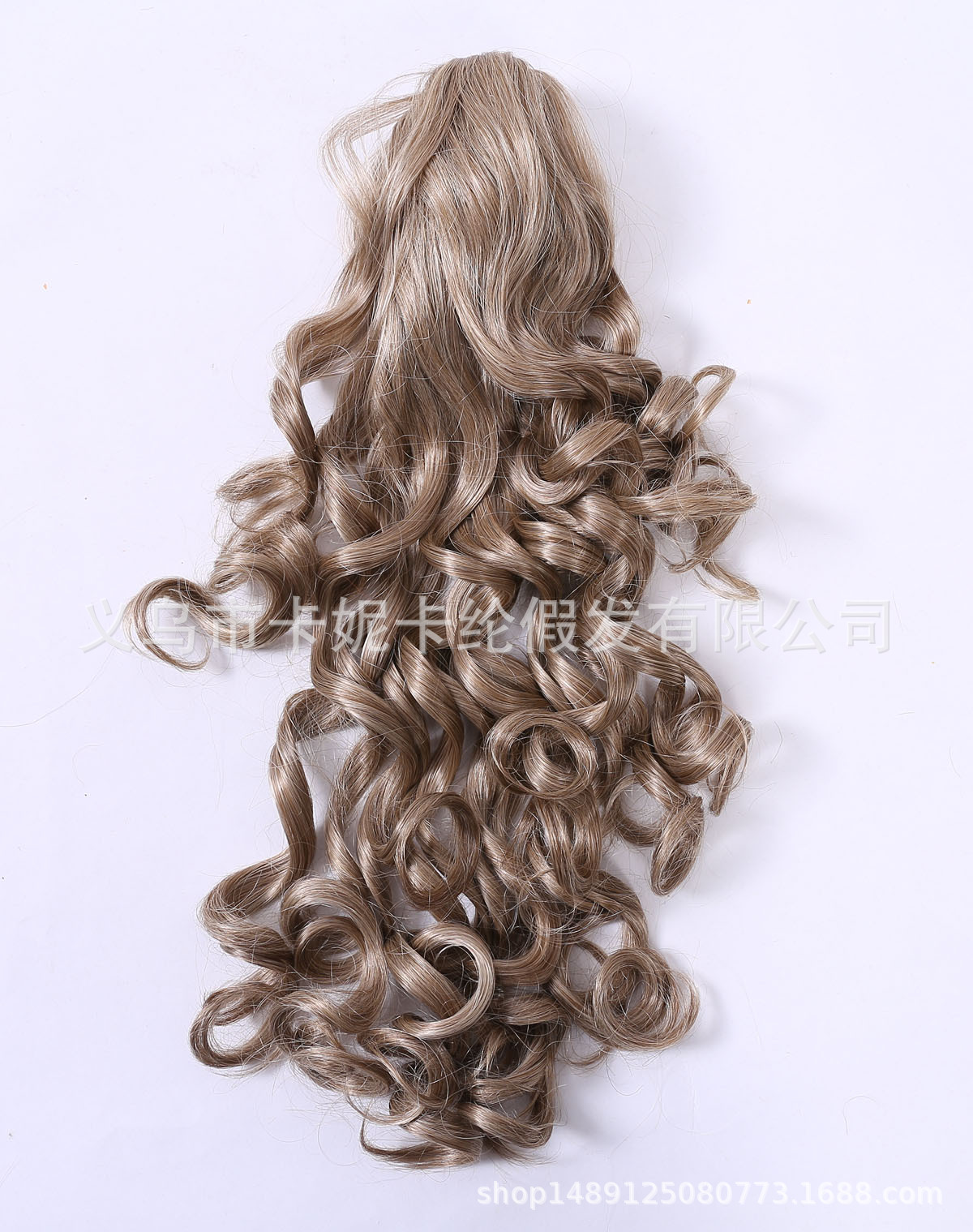 Moda dama caballo cabello