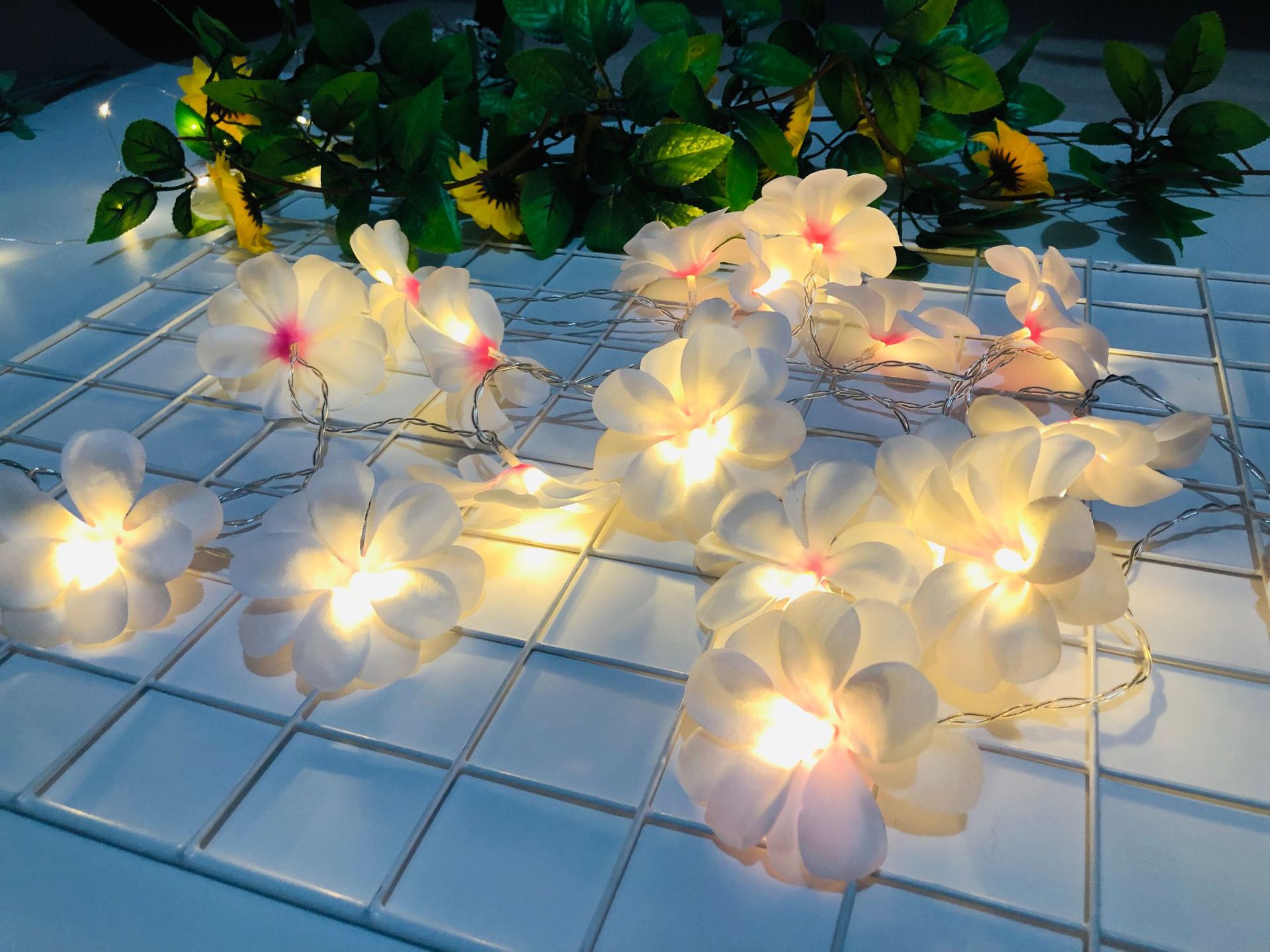 IMG_5450(20190530-180013)