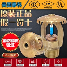 ̩�Ƈ����^K161���ٷ������^6�ִ�ڏ�ֱ���͂}���������FM�J�C