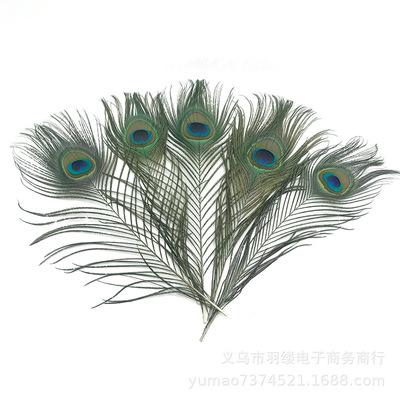 Manufactor Direct selling Peacock feathers 25-30CM goods in stock supply high quality Peacock Feather