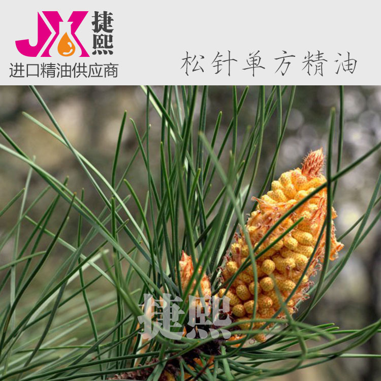 亚尔巴尼亚 洋松叶单方精油