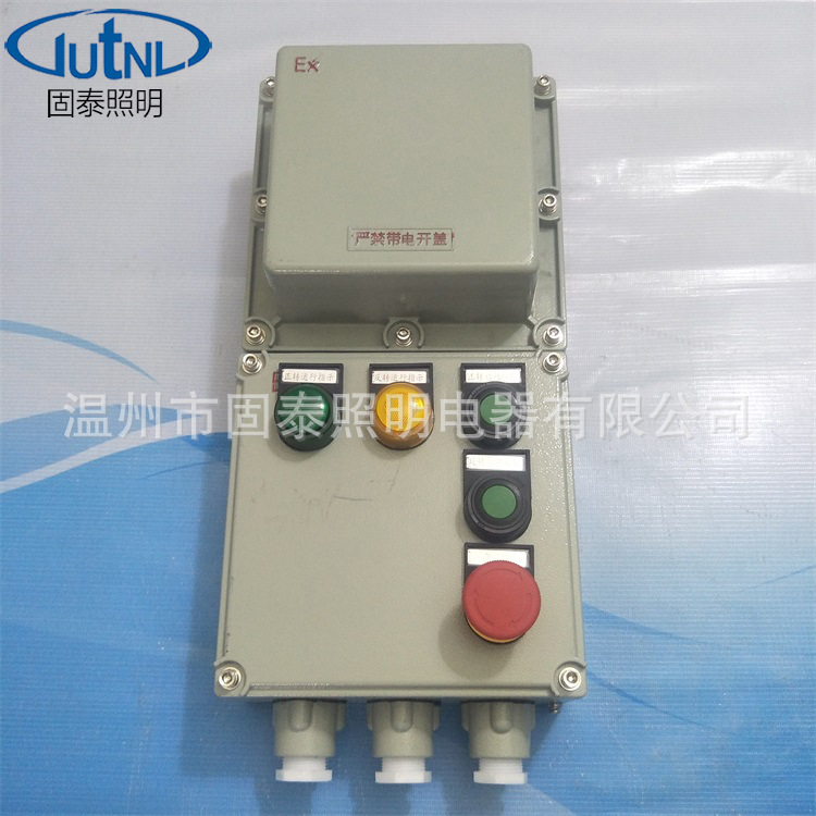 华荣同款BDQ53-12防爆电磁起动器（磁力启动器）IIB 20A带可逆