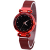 Hair mesh, starry sky, magnetic watch strap, swiss watch, wholesale, internet celebrity