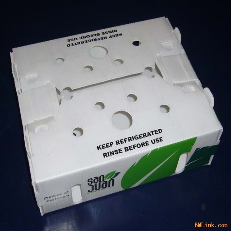 惠州 佛山折叠PP中空板周转箱 广州中空板箱子定做 带盖替代纸箱