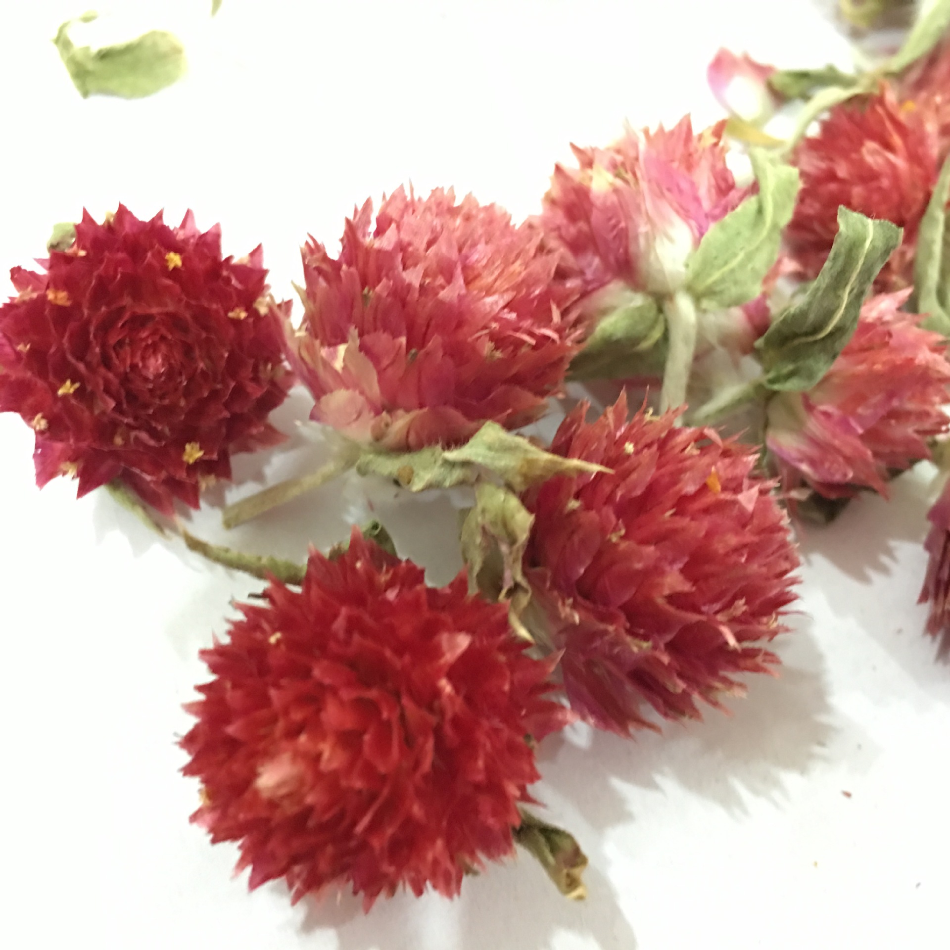 Dried Red Plum Blossom Flower Heads Hong Qiao Mei Loose Herbal Tea and Decorative Dried Flowers 500g key features