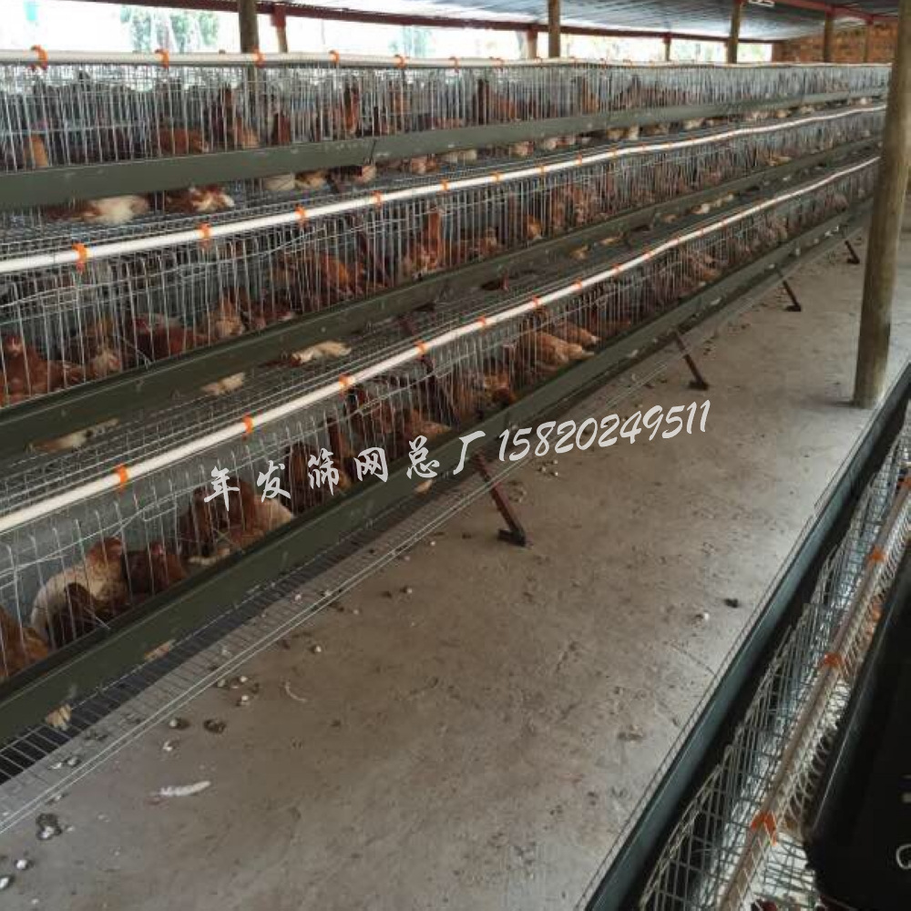 厂家直销镀锌阶梯式蛋鸡养殖笼具 圈养蛋鸡铁丝网笼