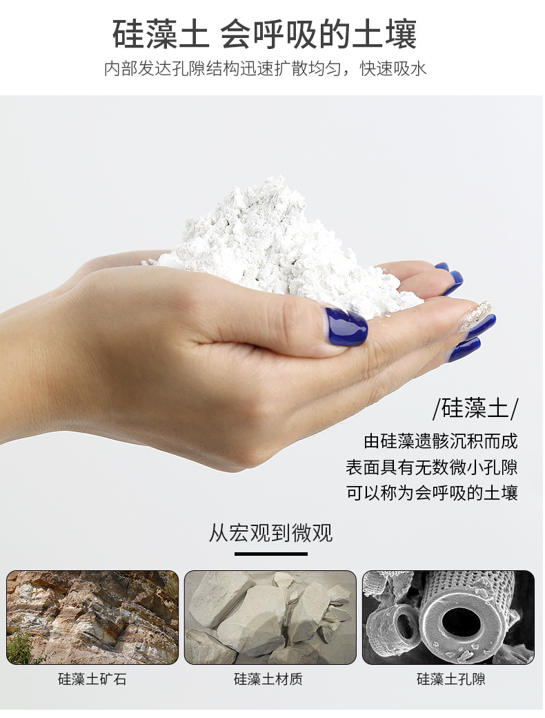北欧植物系列详情_07.jpg