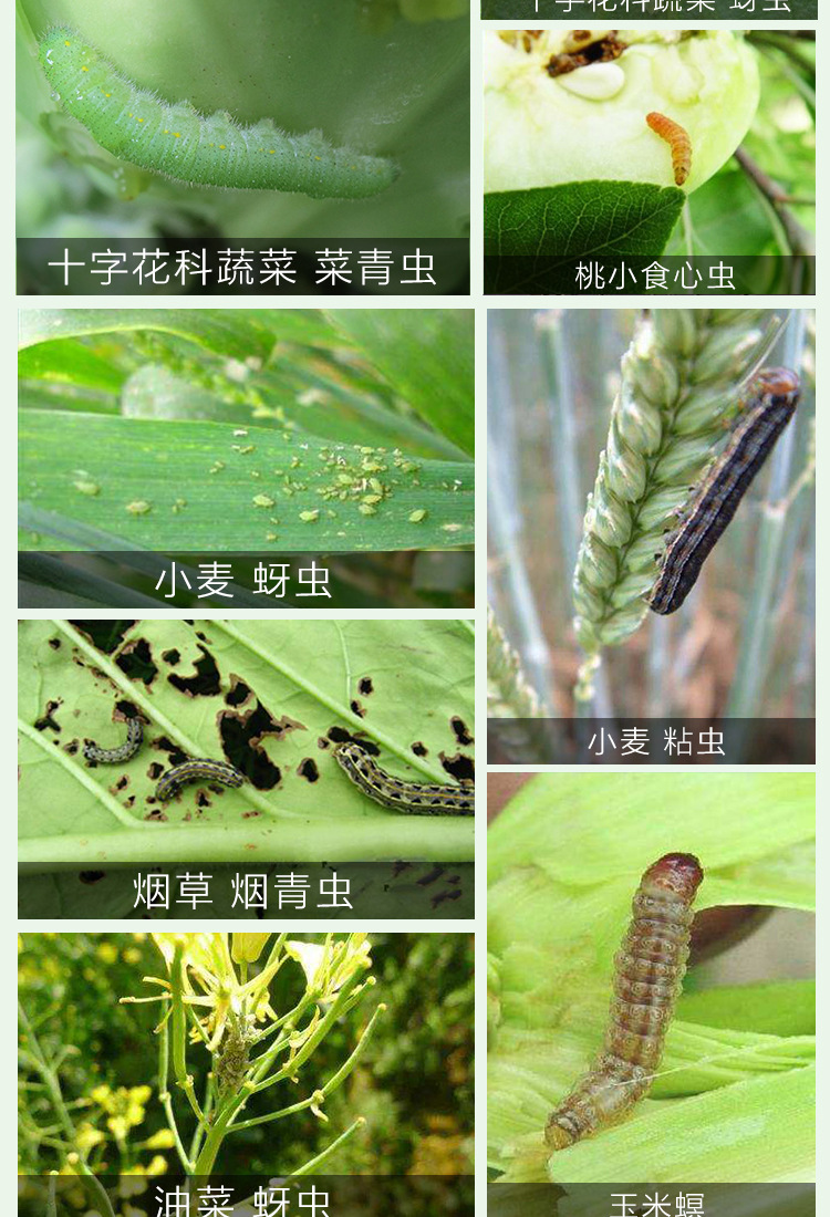 农药敌杀死溴氰菊酯花卉蔬菜蚜虫食心虫菜青虫杀虫剂250ml 5瓶 悬浮剂 杀虫剂 商城 知农农业