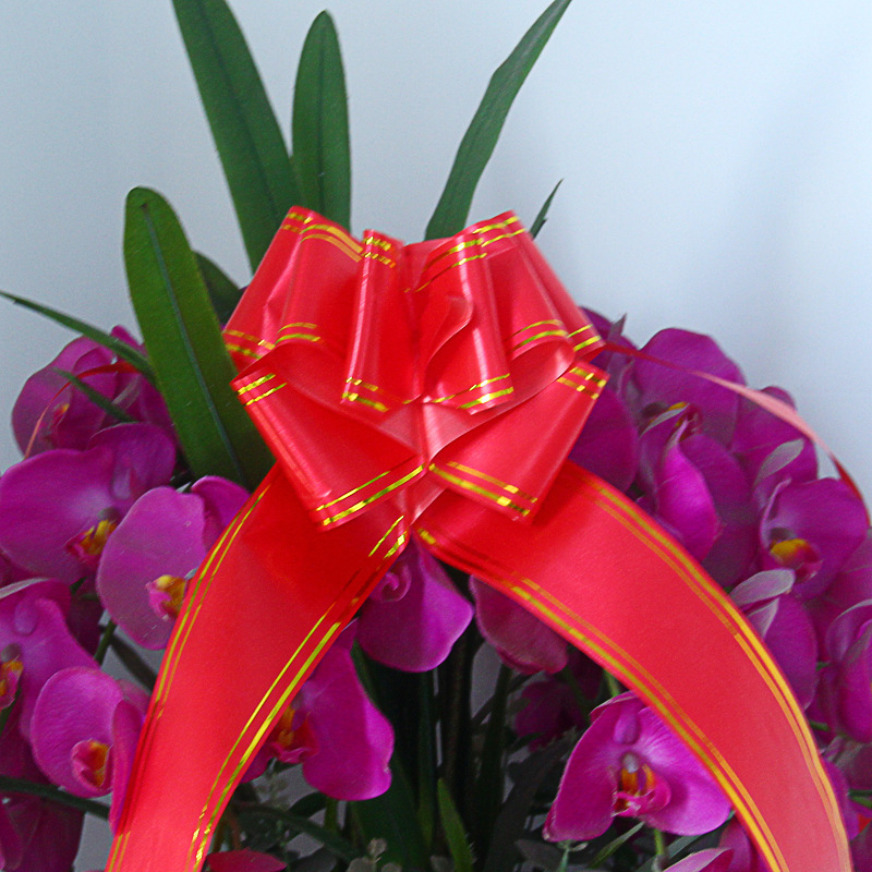 2407027822_2078261201 (1)