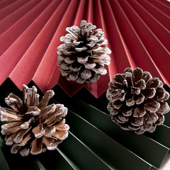 Natural pine cones painted white Christmas tree decoration pine cones photo props photography ornaments dried fruits and flowers materials