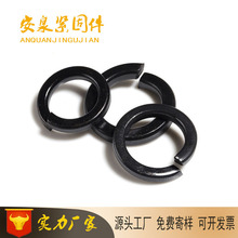 8.8���ߏ��ȏ��ɉ|Ȧ ���˺�ɫ�ߏ��ȏ��| ���ى|Ȧ����ă�