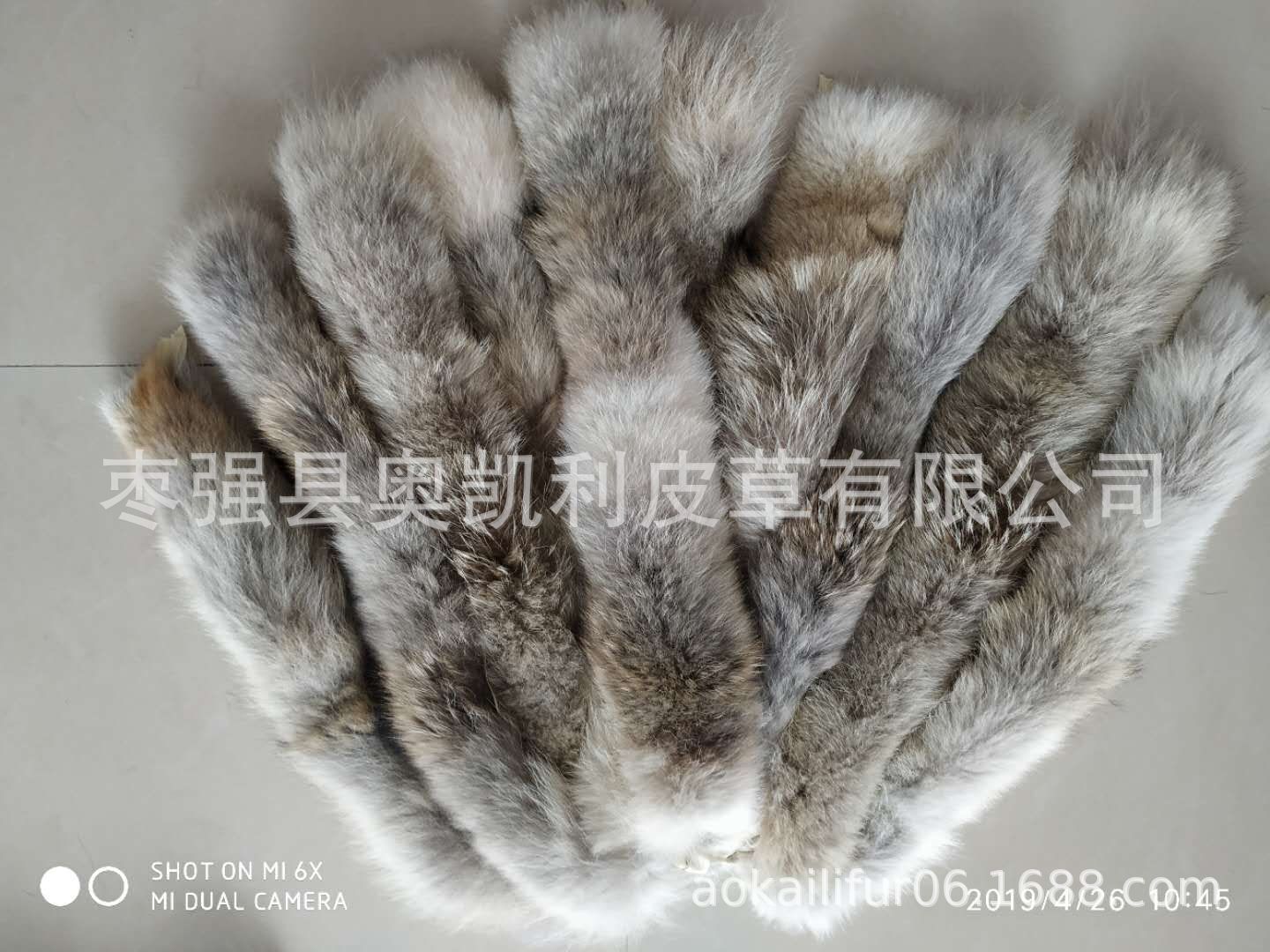 mmexport1556246824013