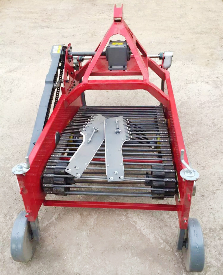 赴一场“金色之约”